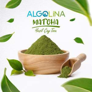 Algolina Matcha Tozu 10 KG Doypack (Yeşil Çay)